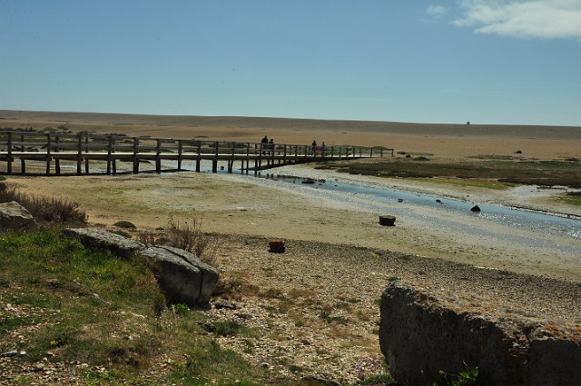 09 05 15_3927.JPG - CHESSIL BEACH, FERRYBRIDGE BETWEEN WEYMOUTH AND PORTLAND - DORSET - 9.5.15
